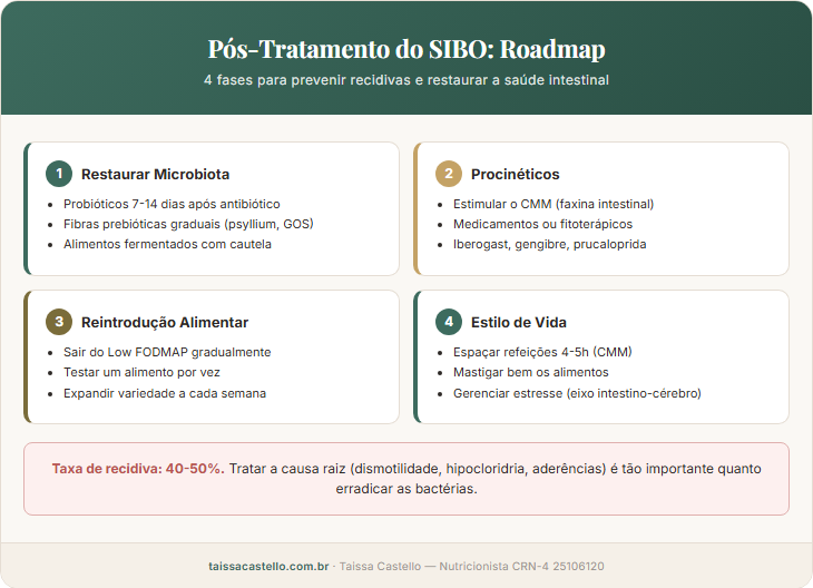 Mapa das 4 fases do pós-tratamento do SIBO: restauração da microbiota, procinéticos, reintrodução alimentar e estilo de vida