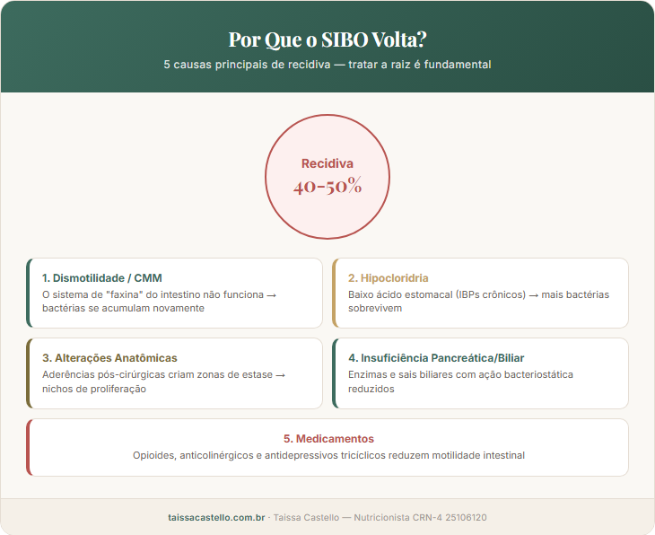 Diagrama das 5 principais causas de recidiva do SIBO: dismotilidade, hipocloridria, alterações anatômicas, insuficiência pancreática e medicamentos