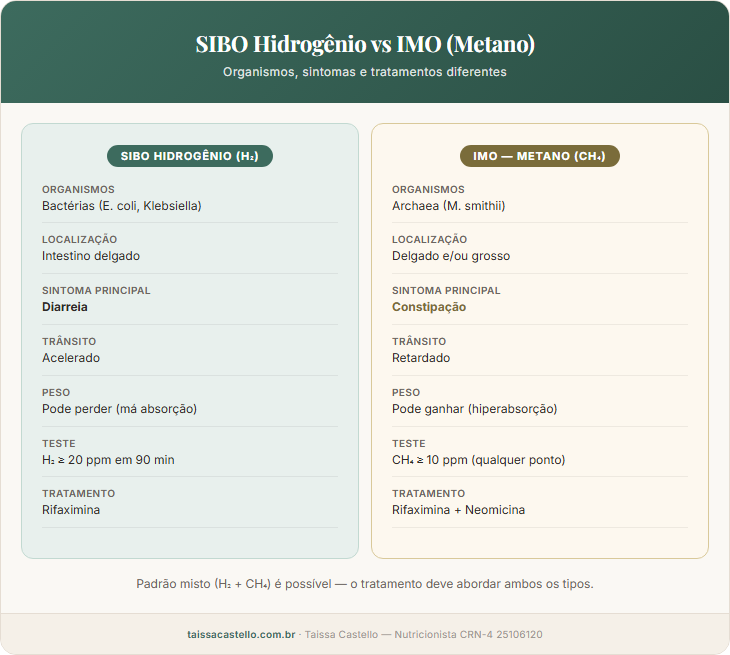 Comparação visual entre SIBO hidrogênio e IMO metano: organismos, sintomas, diagnóstico e tratamento de cada tipo