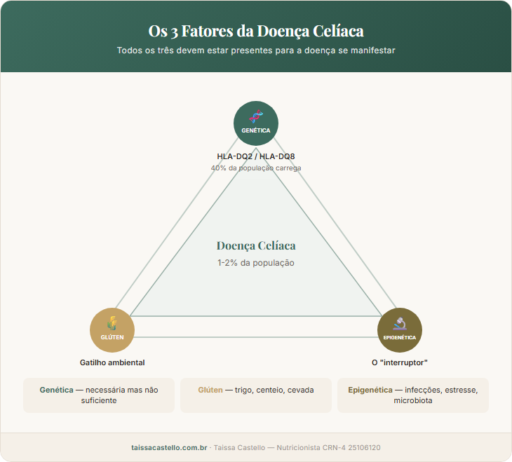 Diagrama triangular mostrando os 3 fatores necessários para desenvolver doença celíaca: genética HLA-DQ2/DQ8, ingestão de glúten e fatores epigenéticos